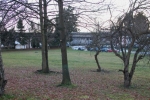 View the album February 2012